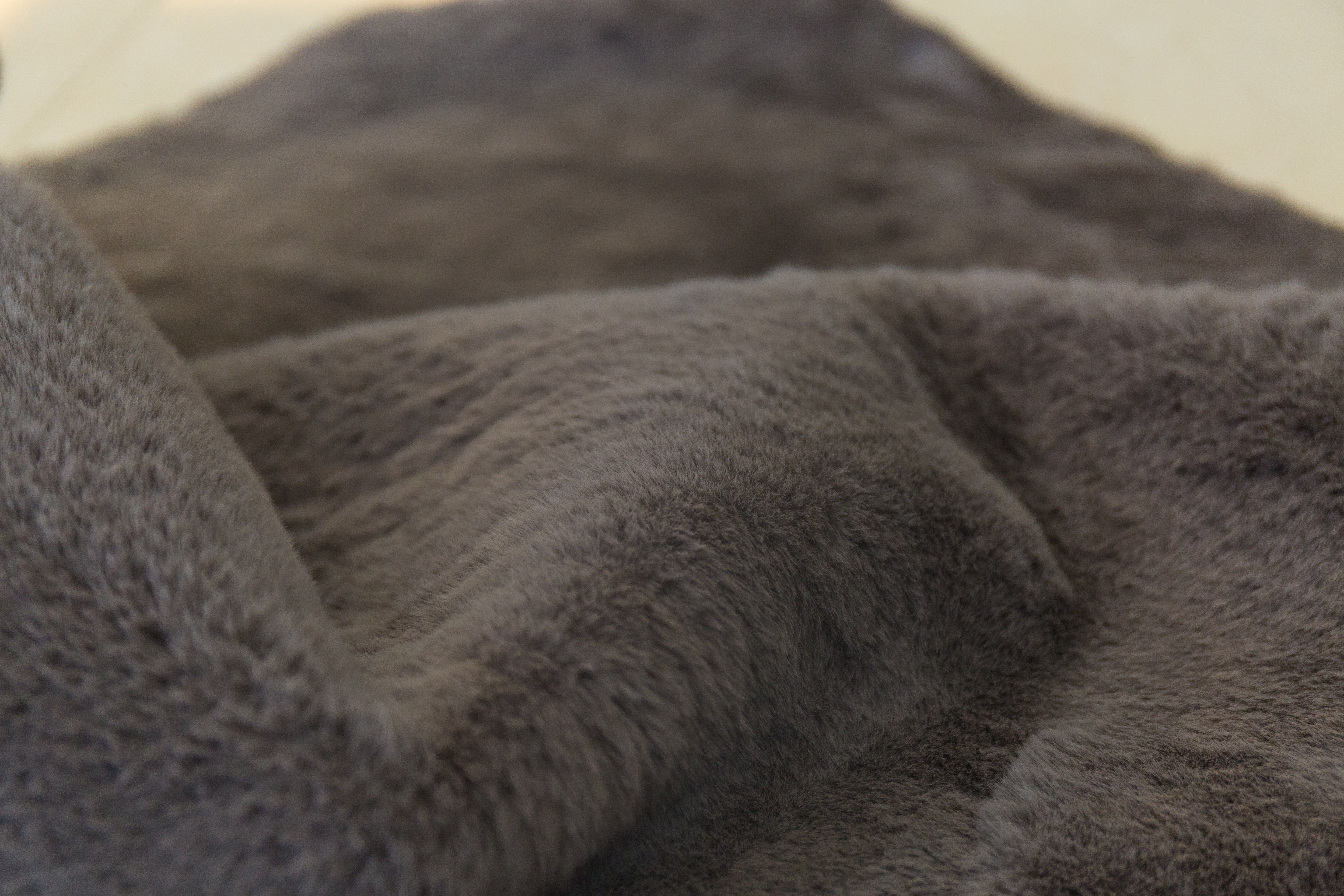 Thảm cao cấp Cosy 500 Gray