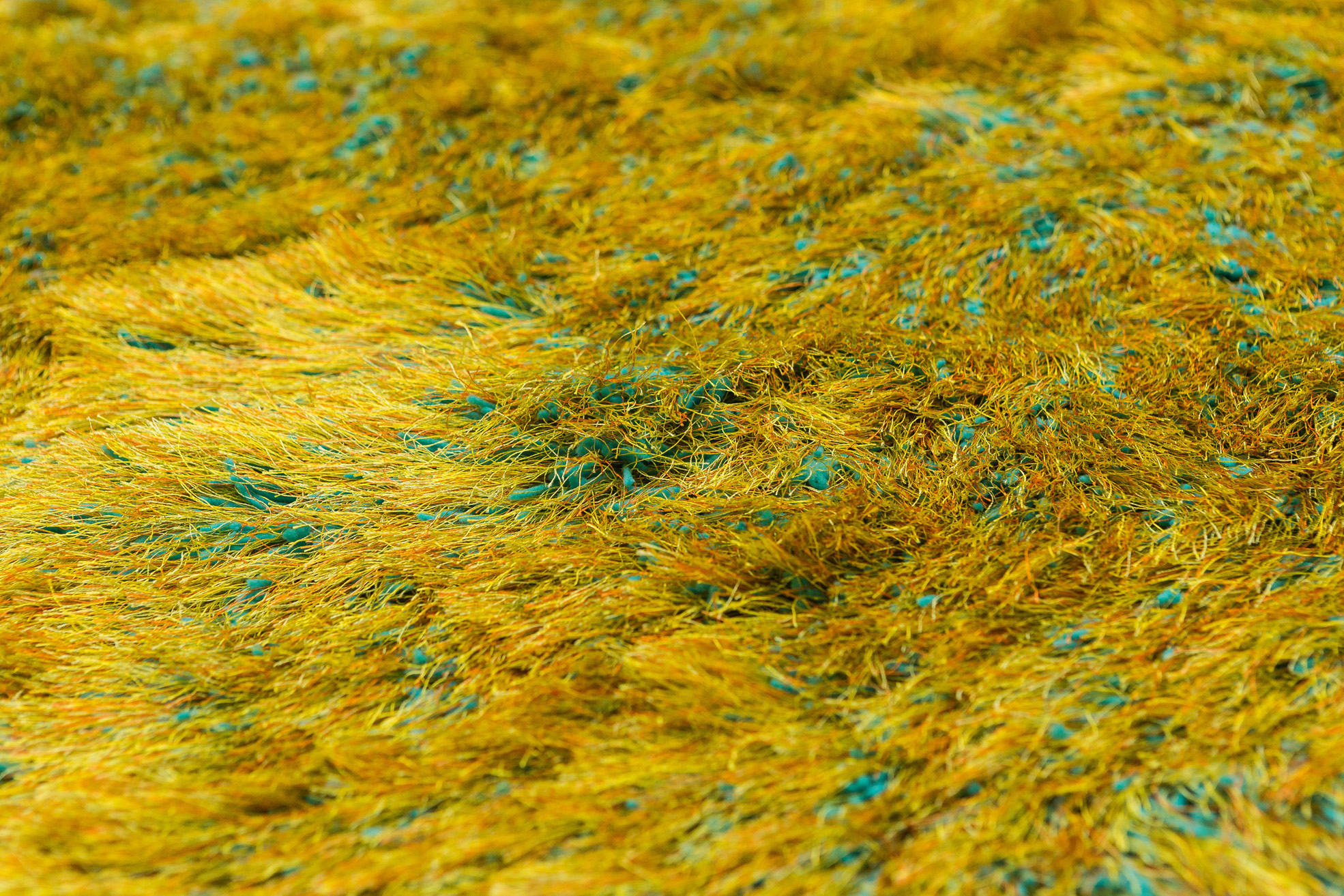 Thảm trang trí ATTRACTION 700 TURQUOISE